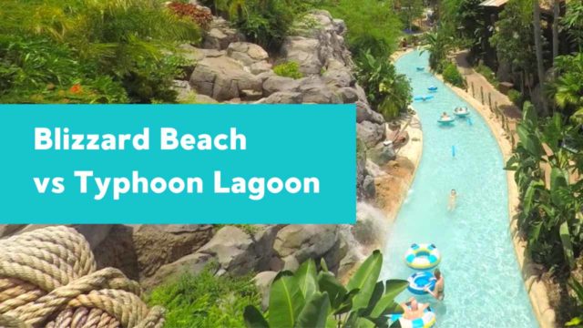 Blizzard Beach vs Typhoon Lagoon