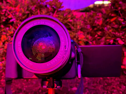 The Ultimate Guide to Taking Great Pictures at Disney World
