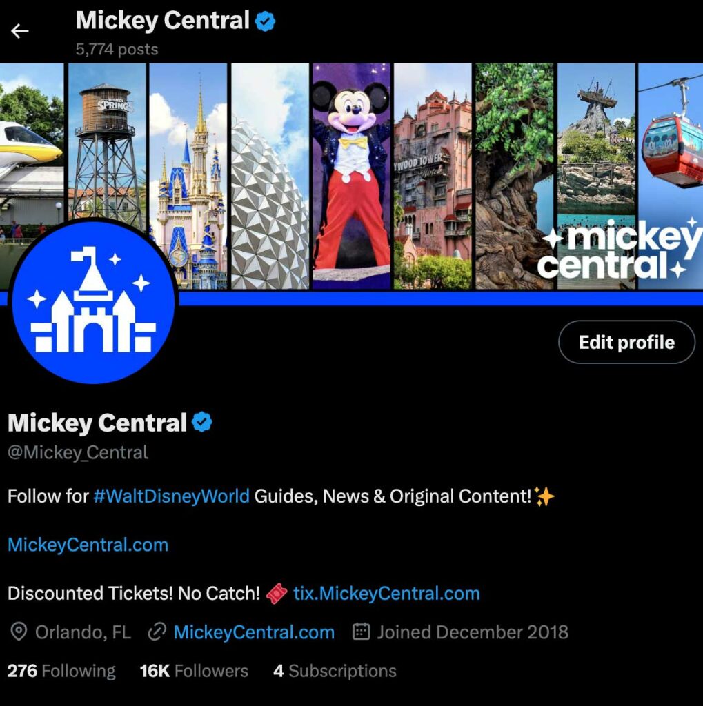 Mickey Central Twitter design