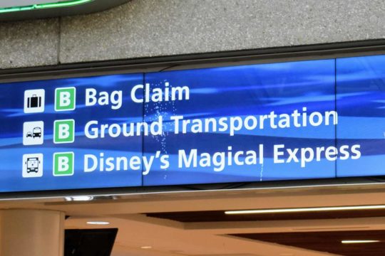 What to Pack for a Magical Trip to Disney World (& What Not To Pack)