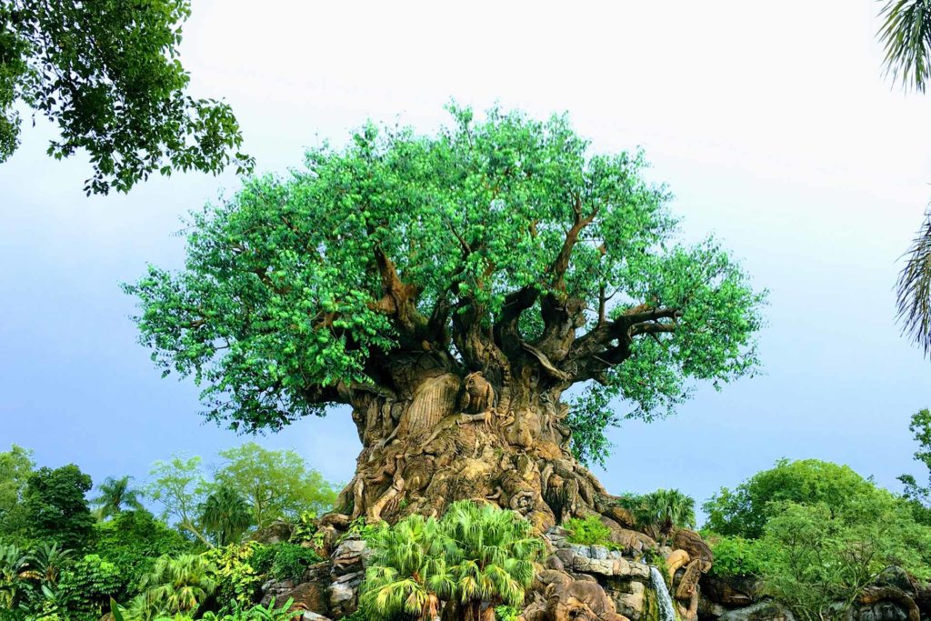 Tree of Life - Animal Kingdom