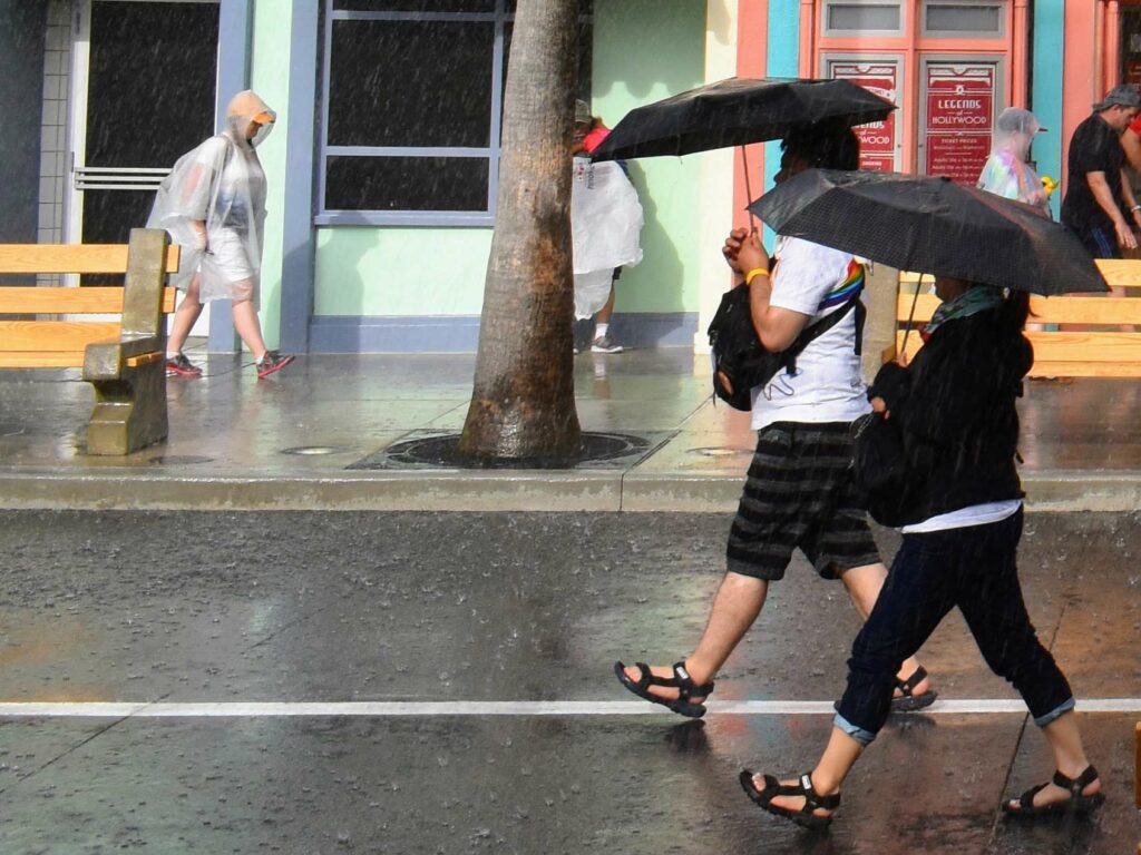 Umbrellas are highly recommended for any trip to Disney World